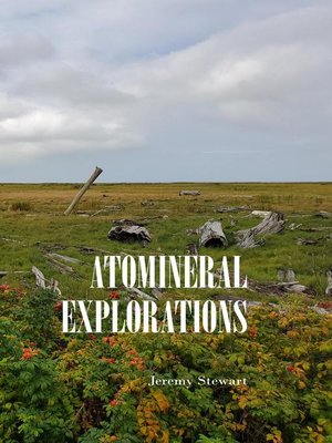 cover image of Atomineral Explorations